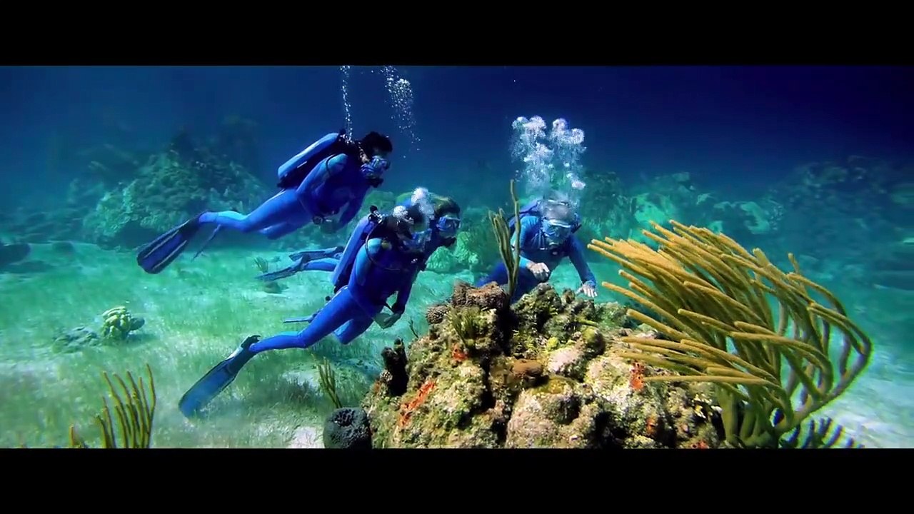 Wonders of the Sea 3D | movie | 2017 | Official Trailer