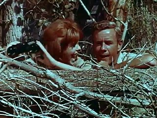 Clarence, the Cross-Eyed Lion | movie | 1965 | Official Trailer