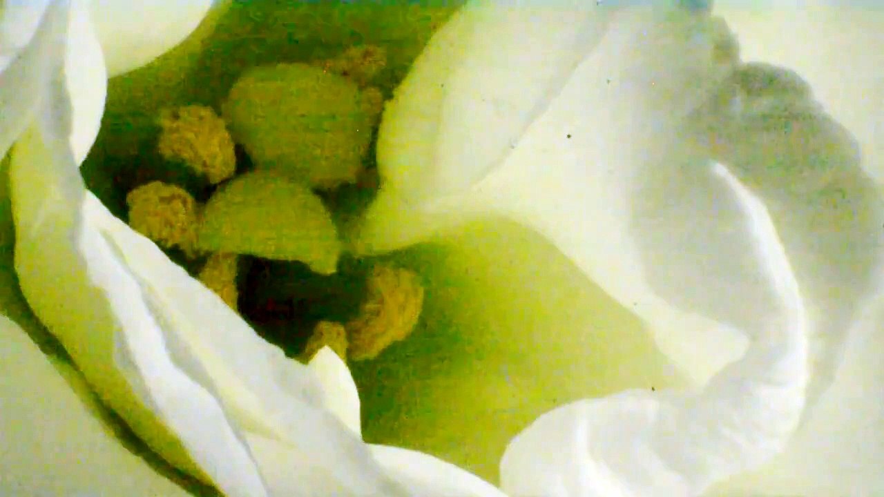 That Which Will be Snuffed by the Hand of Darkness | movie | 2023 | Official Trailer