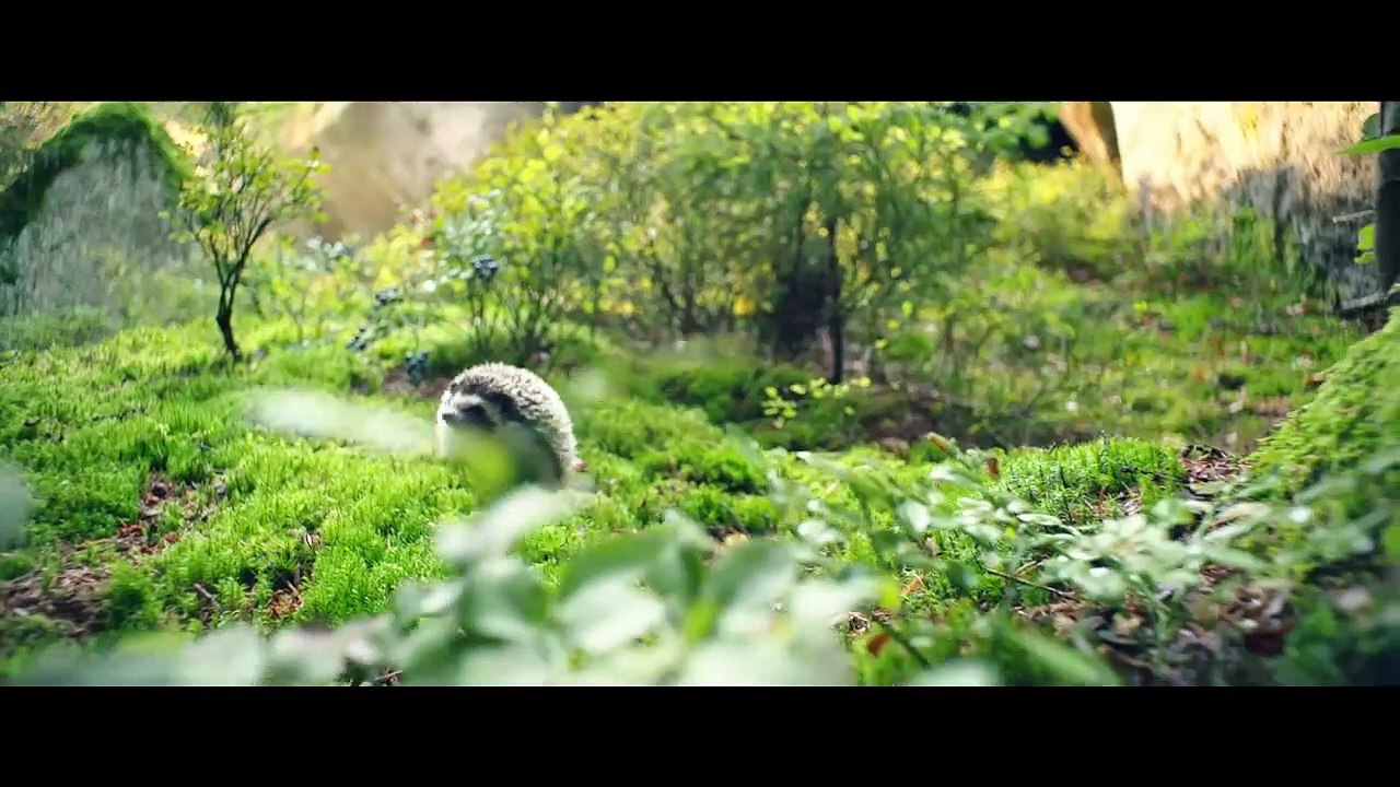 Die kleine Hexe | movie | 2018 | Official Trailer