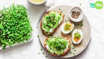 Tartines au fromage frais et concombre, oeufs durs et graines germées