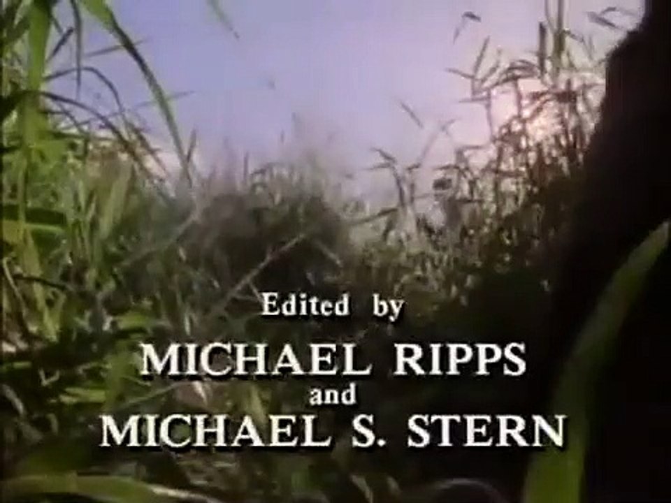 Tour of Duty - Se2 - Ep16 - The Volunteer HD Watch