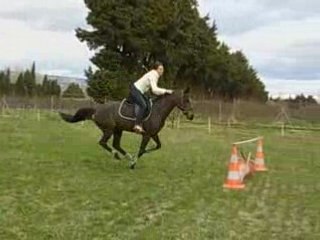 MA COUSINE MELINDA ET INCALA