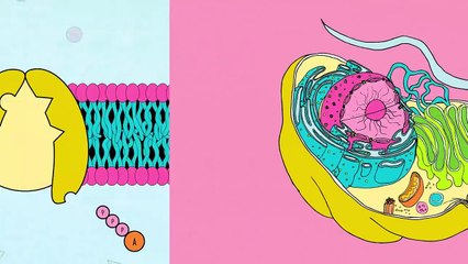 Crash Course Chemistry | show | 2013 | Official Teaser