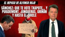Alfonso Rojo: “Sánchez; que te vote Txapote… y Puigdemont, Junqueras, Griñán y hasta El Chicle”
