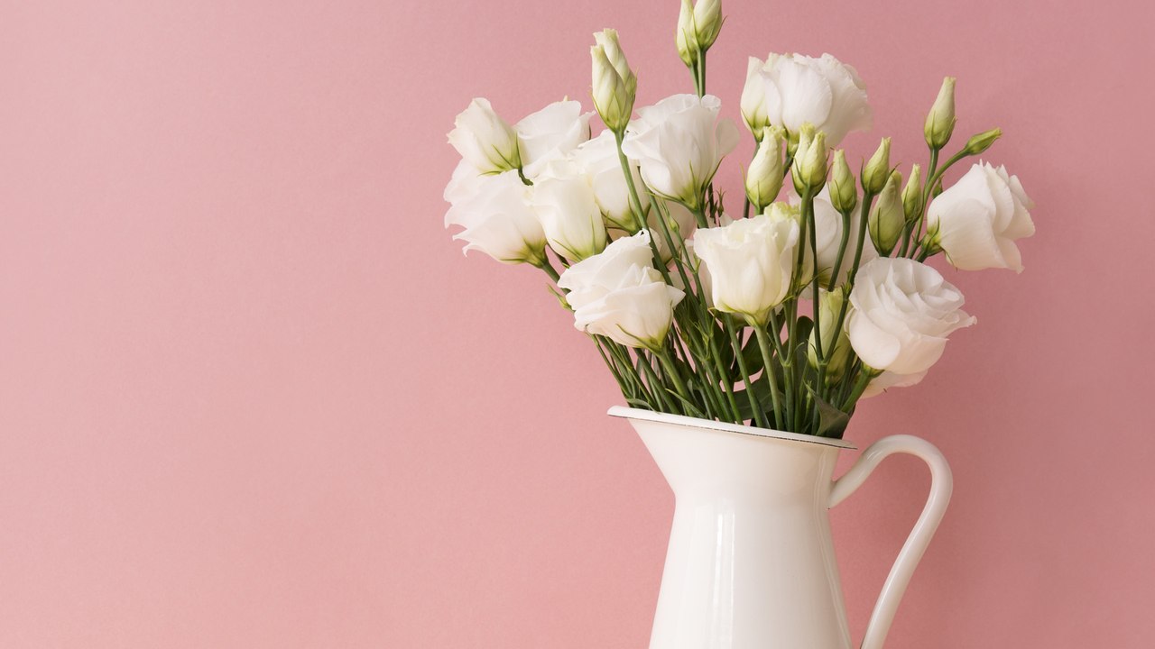 Mit diesen simplen Tricks bleiben Rosen länger frisch