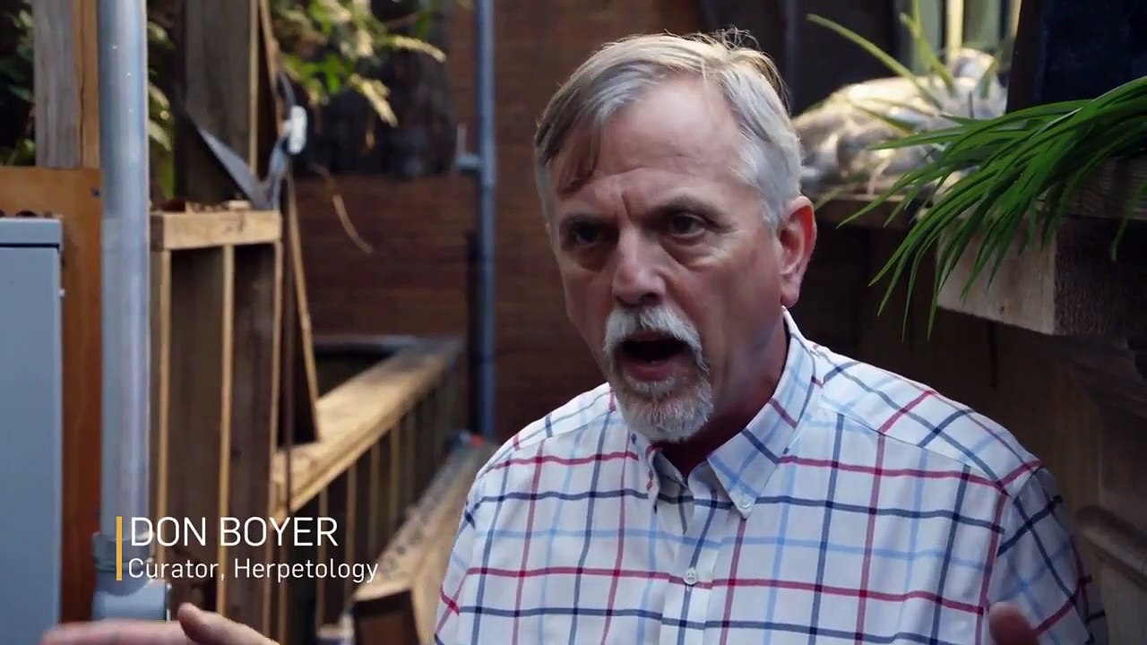 The Zoo - Se3 - Ep05 - Baby Bunnies, Big World HD Watch