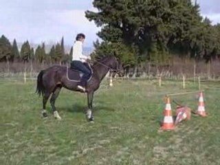 MA COUSINE MELINDA ET INCALA