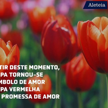 Quais flores escolher para dizer eu te amo ?