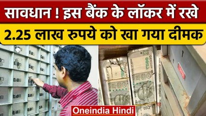 Bank Locker : Rajasthan में बैंक लॉकर में रखे लाखों रुपये खा गए दीमक, जांच के आदेश | वनइंडिया हिंदी