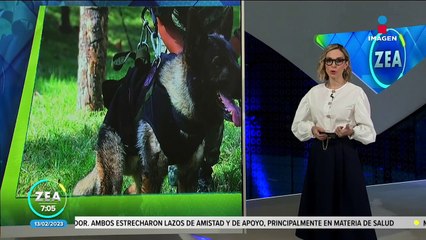 Despiden a "Proteo", perro rescatista mexicano que murió en Turquía