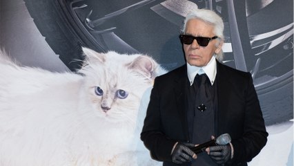 GALA VIDÉO - Karl Lagerfeld : cet évènement tragique qui l’a convaincu de se mettre au régime