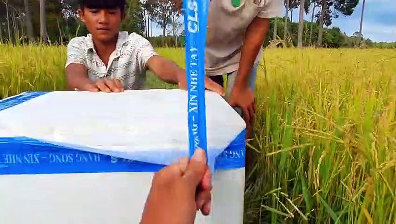 Sang Vlog - Cả Nhà Sửng Sốt Khi Lần Đầu Thấy Con TÔM KỲ LẠ To Bằng Cả Đứa Bé 3 Tuổi