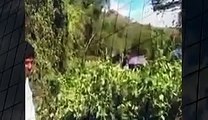Pregnant Elephant Accident to train Animal attack Top ten10@animal when animals attack