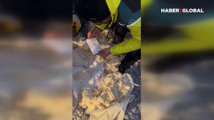 Adıyaman'da enkaz altından çıkanlar ekipleri şaşırttı!