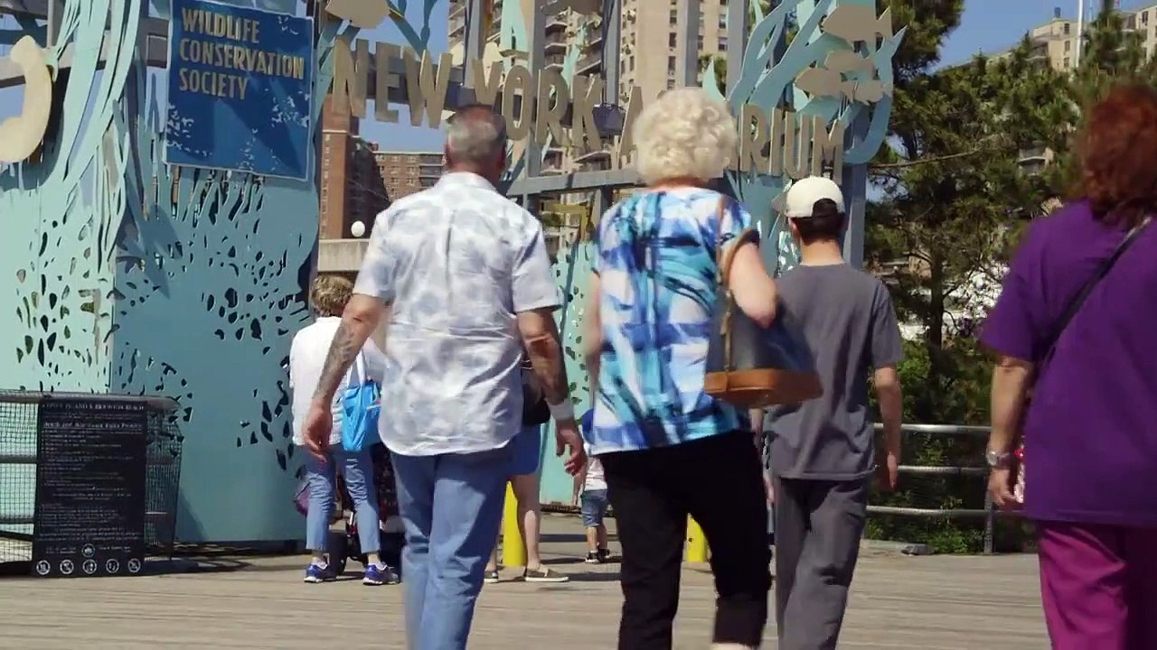 The zoo - se3 - ep04 - otter under the weather hd watch