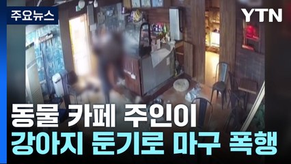 강아지를 둔기로 수십 차례 때린 동물 카페 주인 구속 / YTN