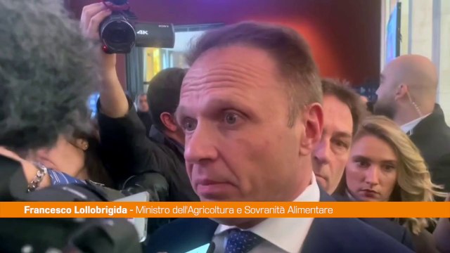 Regionali, Lollobrigida Il centrodestra cresce