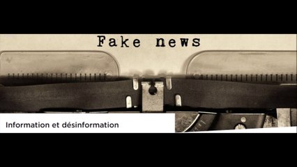 Information, désinformation... : décryptage d'un reportage mis en ligne le 31 janvier 2023, tourné à Moscou...