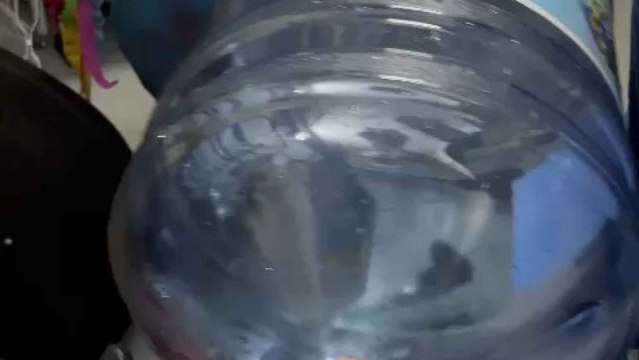 La botella-instrumento.