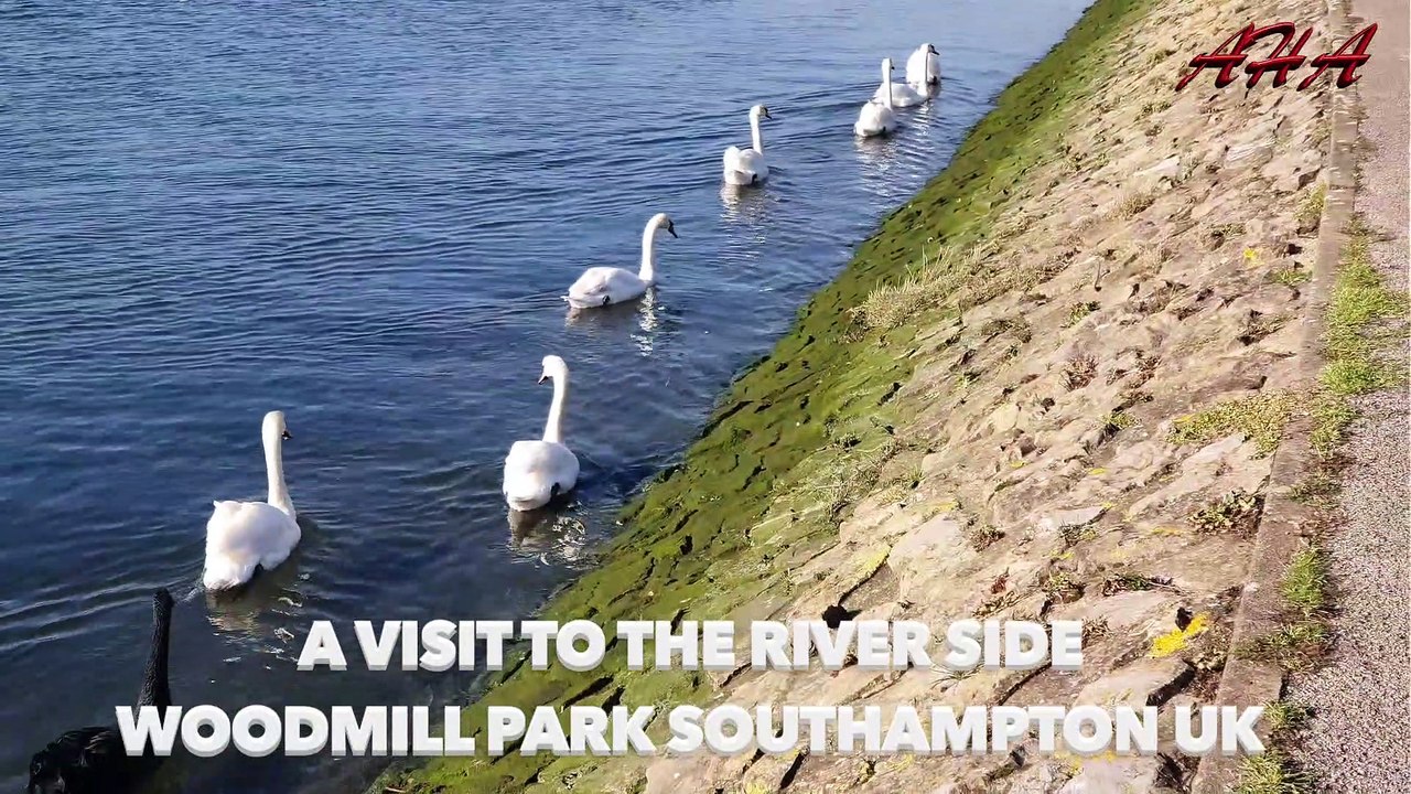 VISIT TO RIVER SIDE WOODMILL  PARK SOUTHAMPTON UK ON 8TH FEBRUARY 2023