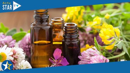 Craquez vite pour ce produit que nous devrions tous avoir chez soi !