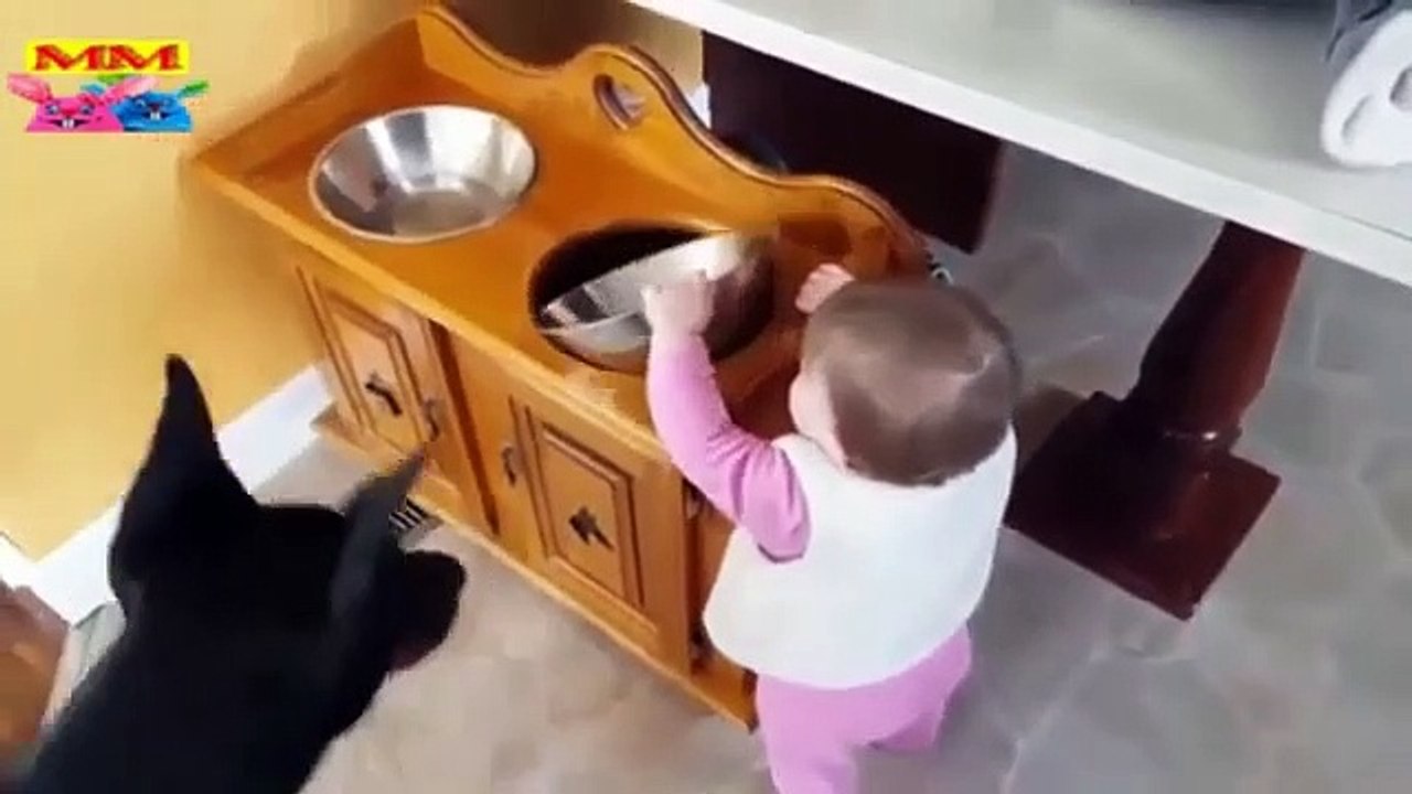 شاهد هؤلاء الأطفال والكلاب يستمتعون معًا