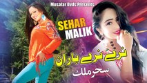 Narey Narey Baran | Pashto Song | Sehar Malik OFFICIAL Video Song