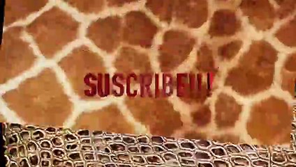 Animal video National Geographic -  HYENA KILLS BABY SEALS!!! Shocking Footage