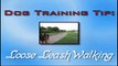 Clicker Dog Training- STOP Leash Pulling!