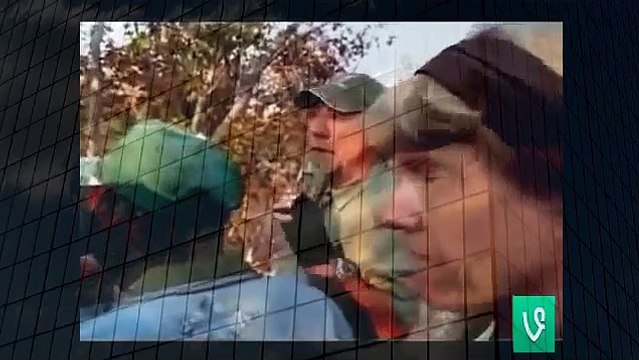 Lion Attacks Safari Hunter Animal Attacks And Loves when animals attack