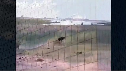 Lion Attaking Documentary HD   Animal Attacks And Loves   YouTube when animals attack (2)