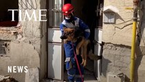 Volunteers in Turkey Try to Save Animals Trapped in Rubble After Devastating Earthquake