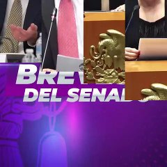 Las breves de Senado