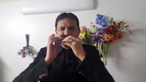 Laga chunri mee daag- Dil Hi To Hai 1963 - Vintage Song.on Harmonica Live Performance by Mukund Kamdar