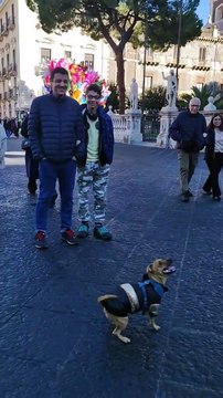 Bumping Around a Balloon