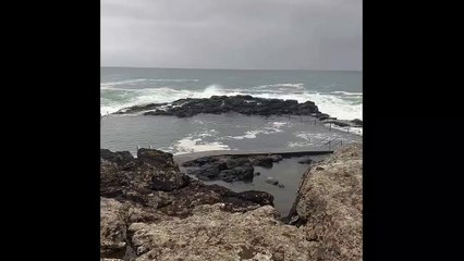 Big surf at Kiama / Illawarra Mercury / February 13