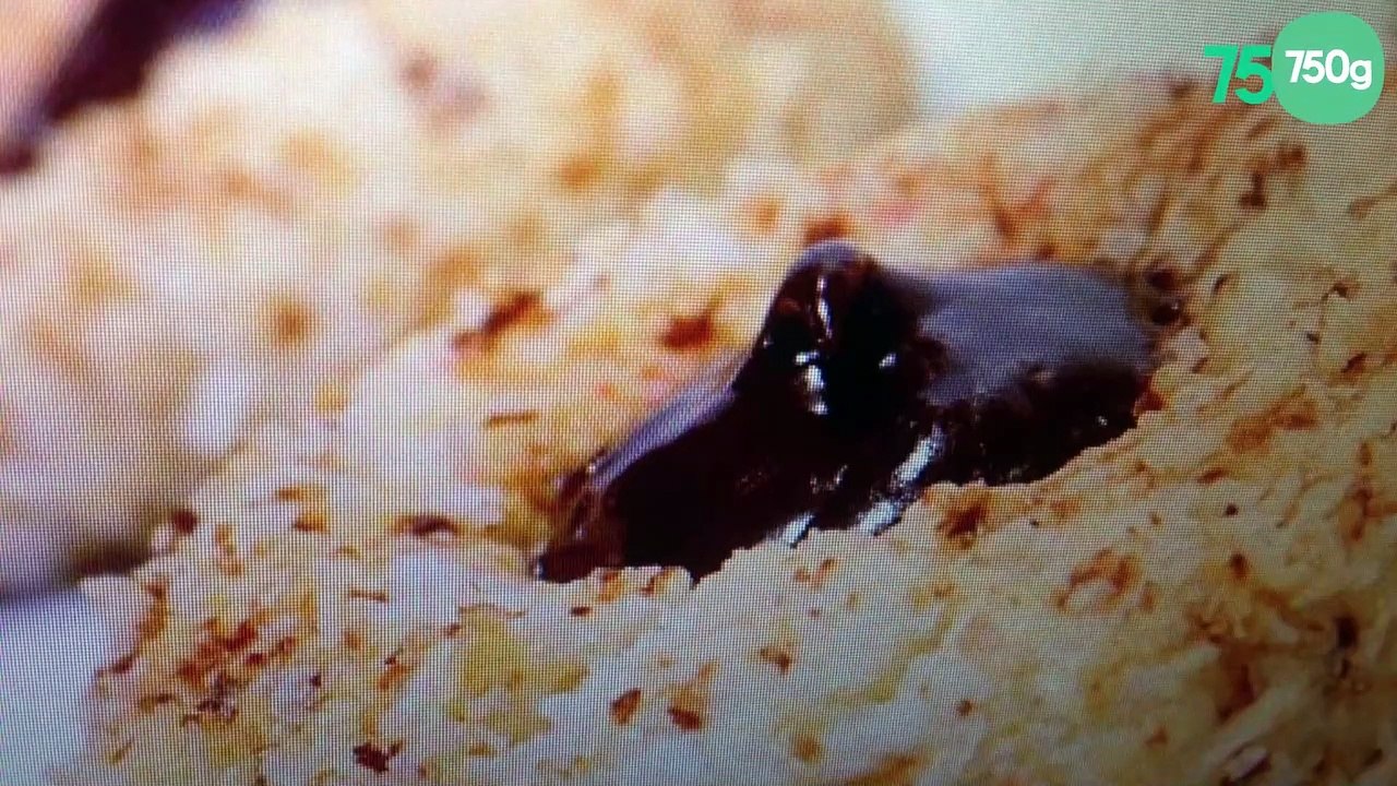 Petit gâteau coco chocolat