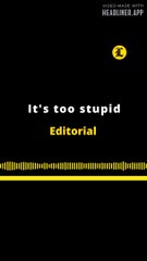 EDITORIAL EN INGLÉS |  IT'S TOO STUPID