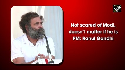 Not scared of Modi, doesn’t matter if he is PM: Rahul Gandhi