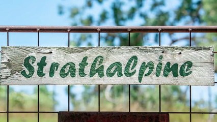 Strathalpine, Tenterfield, NSW - February 14, 2023- Farmonline