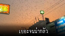 ไม่ใช่ CG ! หนุ่มสะพรึงฝูงนกบินเต็มฟ้า ชาวเน็ตเตือนระวัง คล้ายเหตุแผ่นดินไหวตุรกี