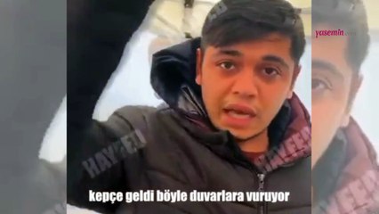 Tüyleri diken diken eden olay! Ölen anneleri...