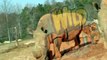 Wild Kratts Wild Kratts S01 E018 – Let the Rhinos Roll!
