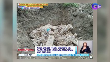 Nasa 240,000 itlog, sinunog ng Bacolod City LGU para maiwasan ang bird flu | BT
