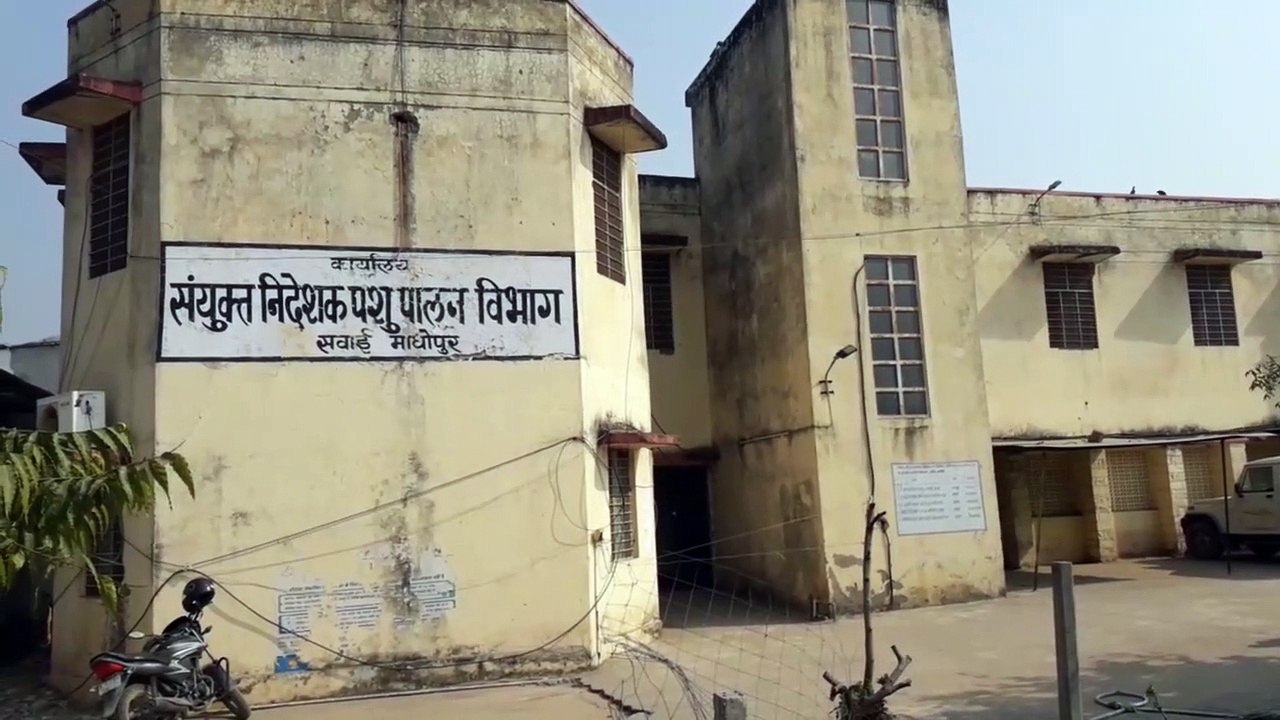 जिले के पशु चिकित्सालय के फिरेंगे दिन, इतने जर्जर भवनों की होगी मरम्मत