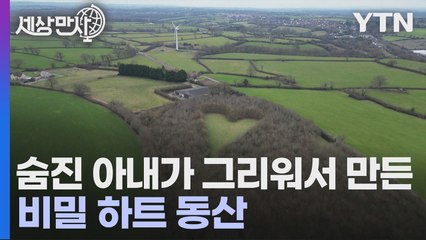 [세상만사] 사별한 아내를 그리워하며 만든 비밀 하트 동산... 30년 만에 공개 / YTN
