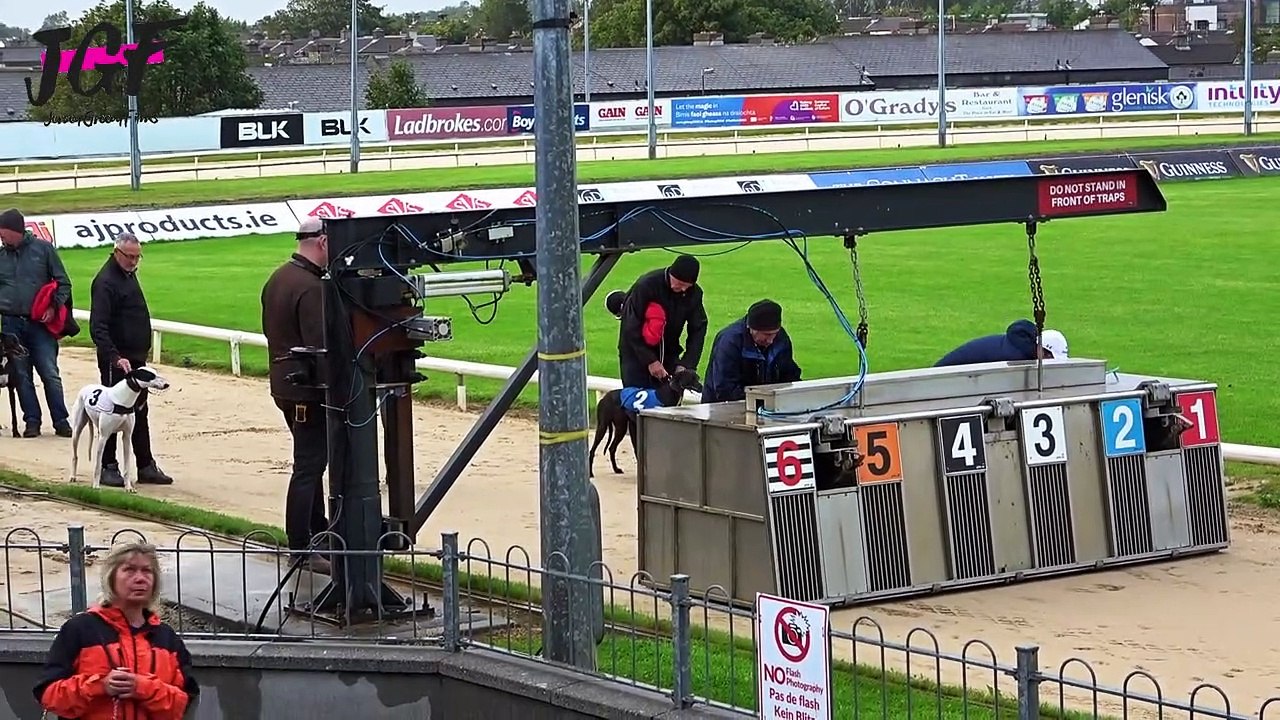 Worlds Best Dogs Racing , Irish Dogs Racing Dogs Day video Dailymotion