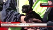 Adıyaman'da yavru kedi 178 saat sonra enkazdan çıkarıldı