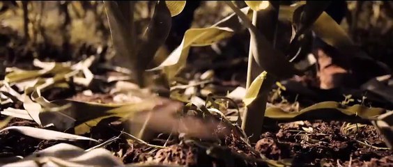 Children of the Corn Tráiler VO